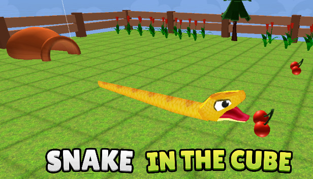 Snake In The Cube