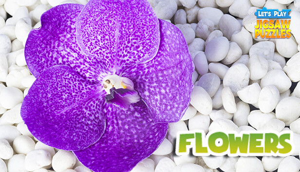 Let's Play Jigsaw Puzzles: Flowers