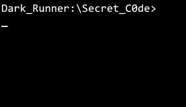 Dark Runner: Secret Code
