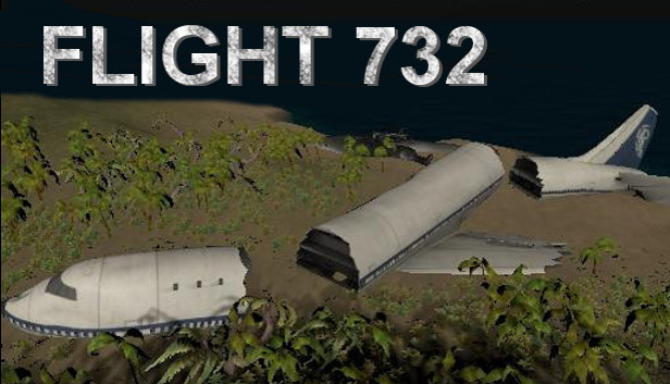 Flight 732
