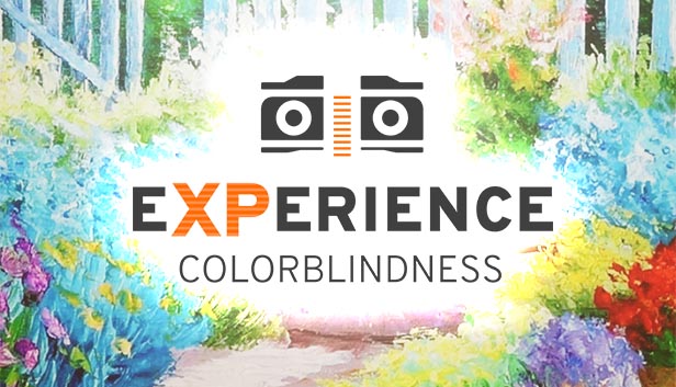 Experience: Colorblindness