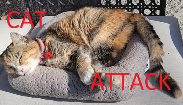 Cat Attack