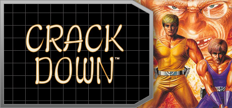 Crack Down™ PC