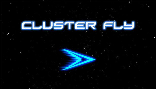 Cluster Fly