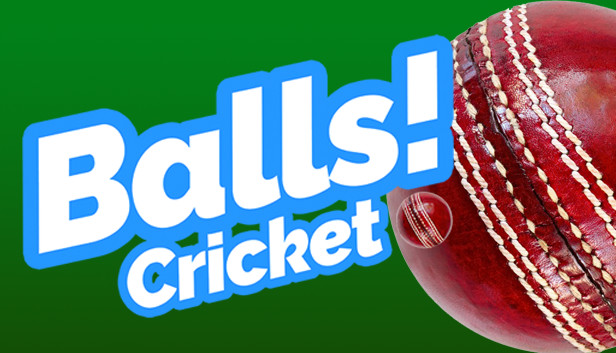 Balls! Virtual Reality Cricket PC