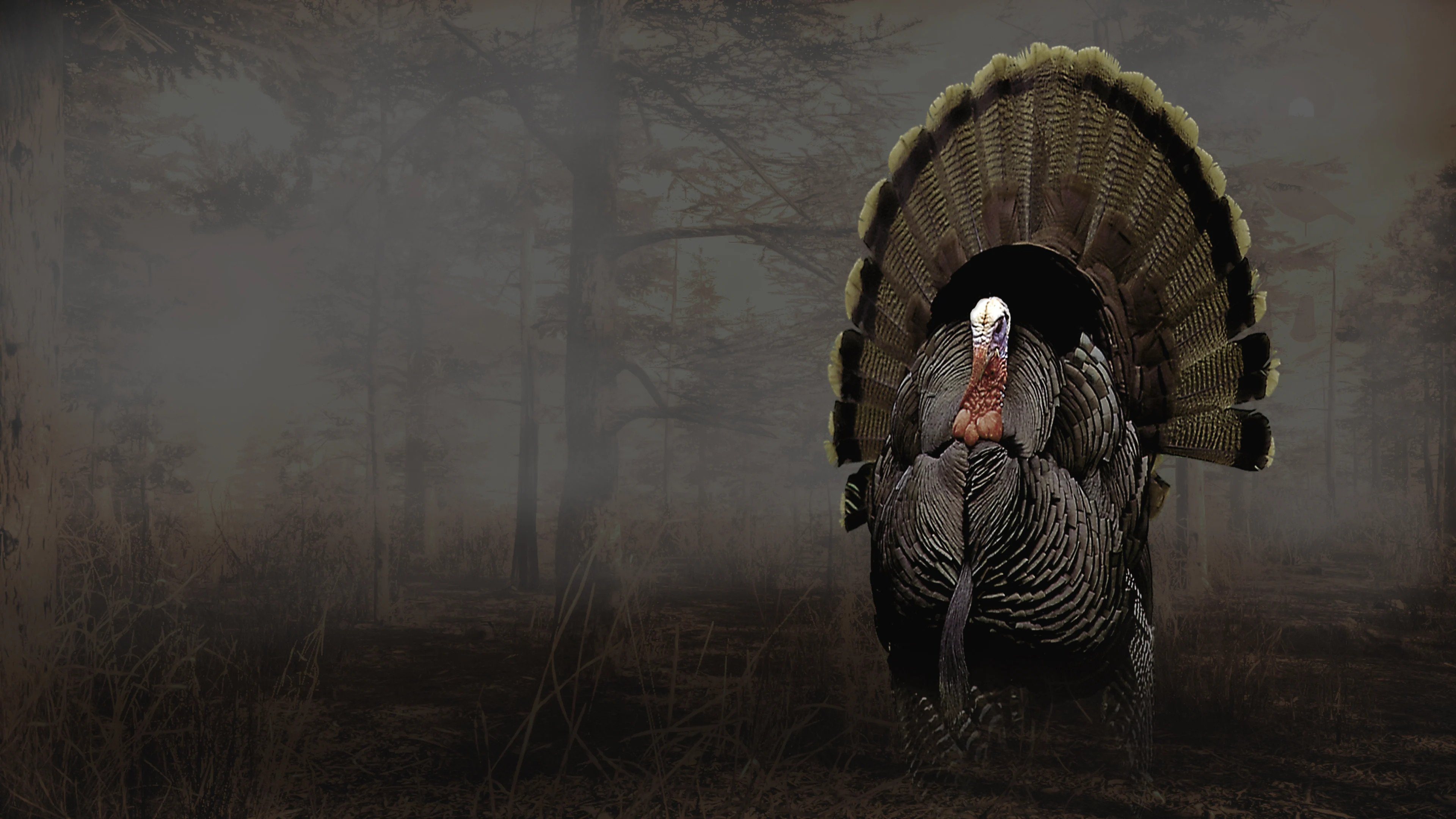 Pro Turkey Hunting