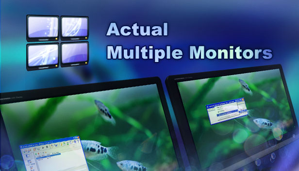 Actual Multiple Monitors