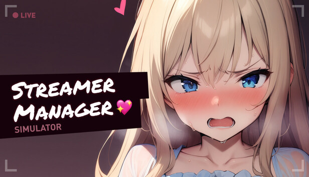 Streamer Manager Simulator 