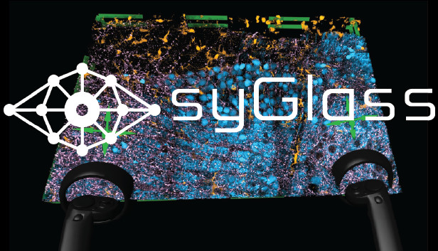 syGlass View