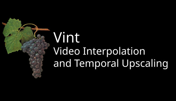 Vint: Video Temporal Upscaling and Interpolation