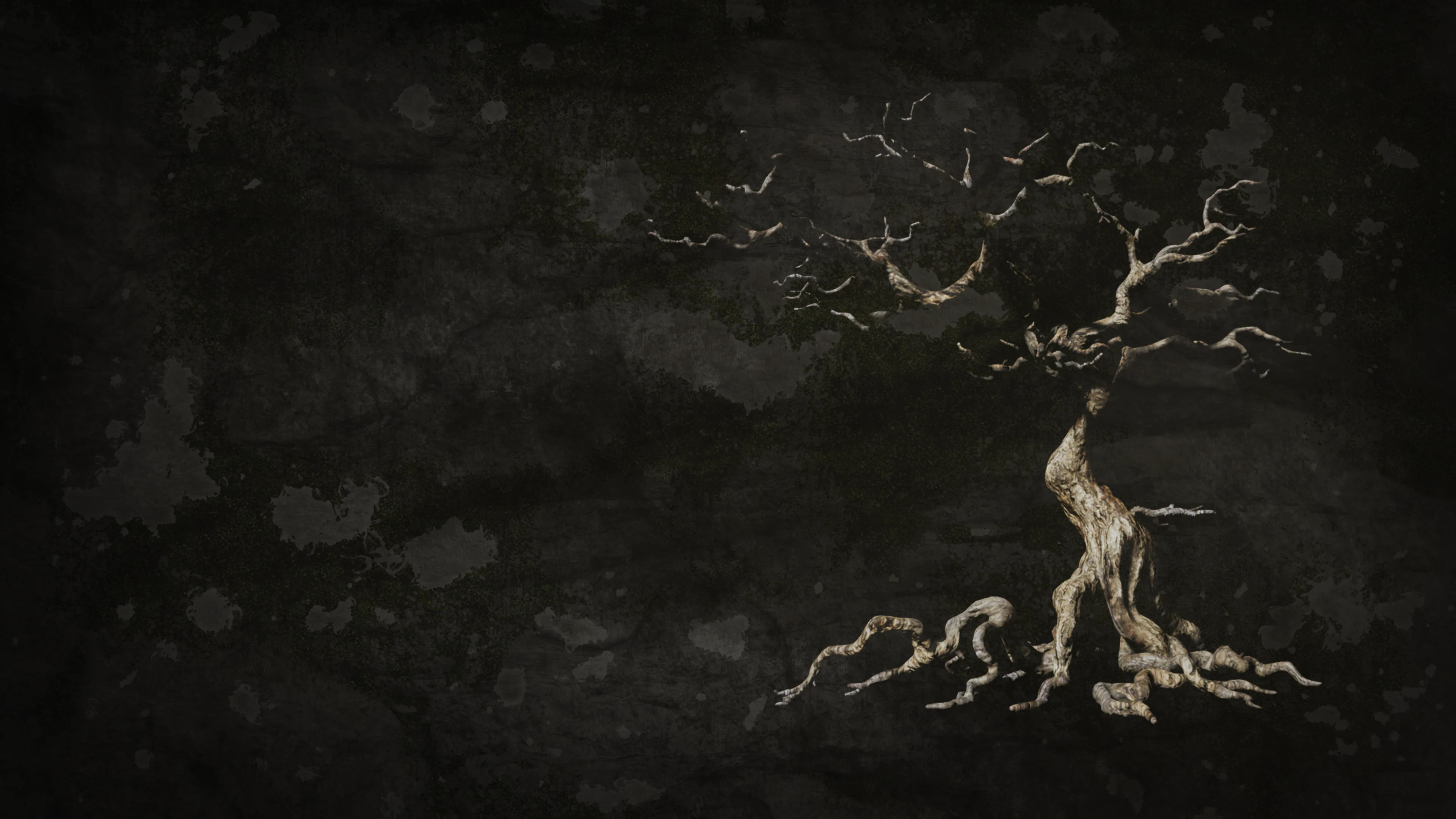 The Dead Tree of Ranchiuna