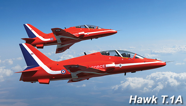 Hawk for DCS World