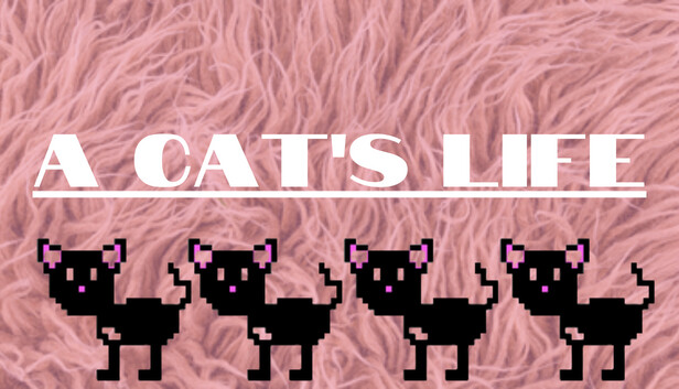 A Cats Life