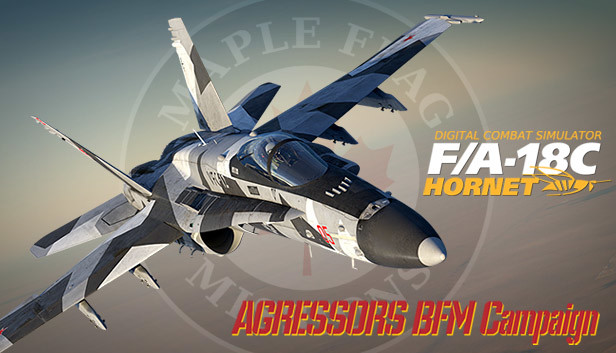 F/A-18C: Aggressors BFM Campaign