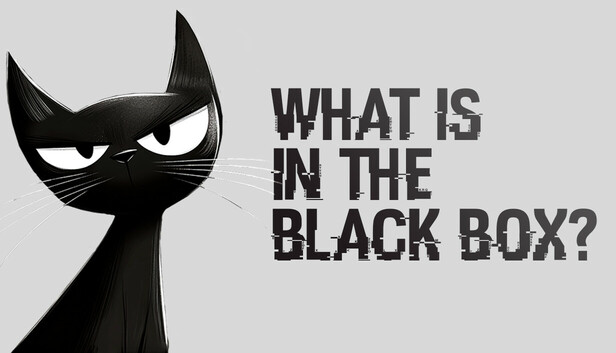 What is in the Black Box?