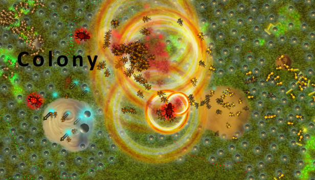 Colony