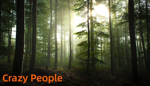 Crazy People