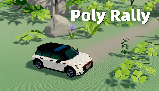 Poly Rally