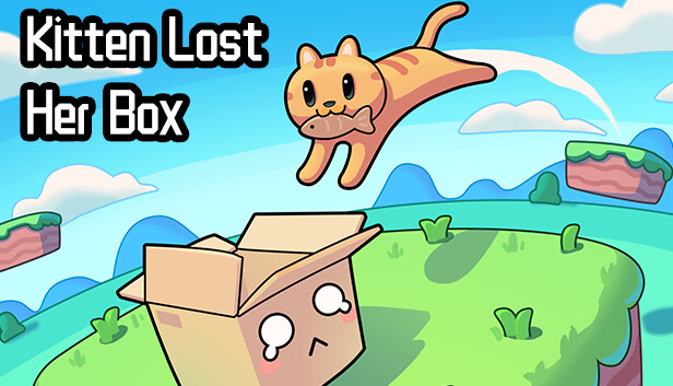 Kitten Lost Her Box