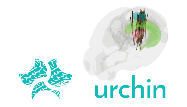 Urchin