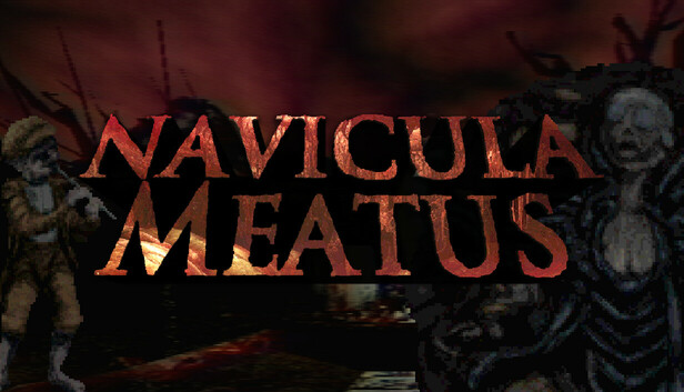 Navicula Meatus