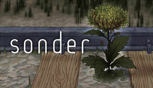 Sonder
