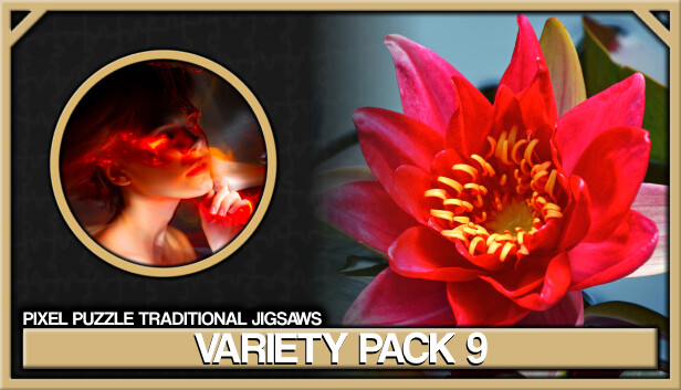Pixel Puzzles Traditional Jigsaws Pack: Variety Pack 9