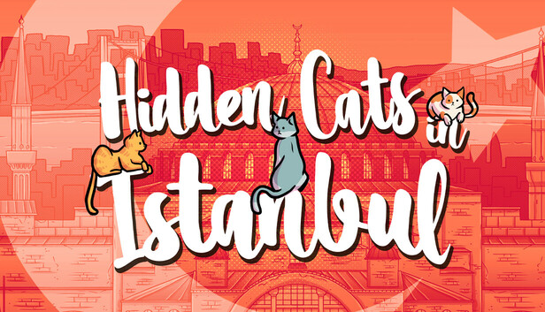 Hidden Cats in Istanbul