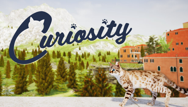 Curiosity