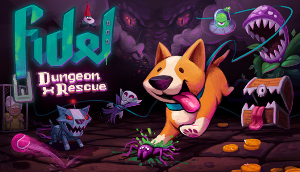 Fidel Dungeon Rescue