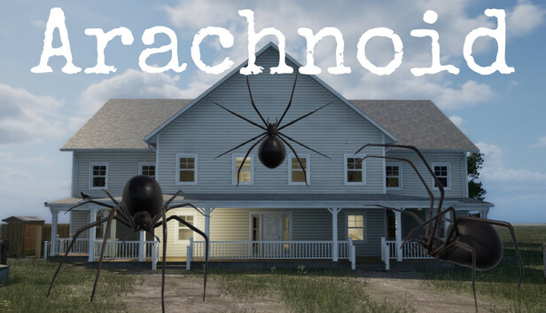 Arachnoid