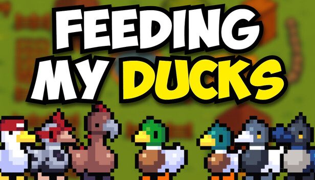 Feeding My Ducks