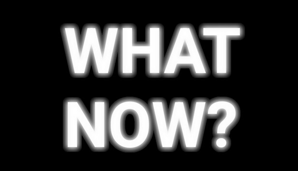 WHAT NOW? - The Social Experiment Game