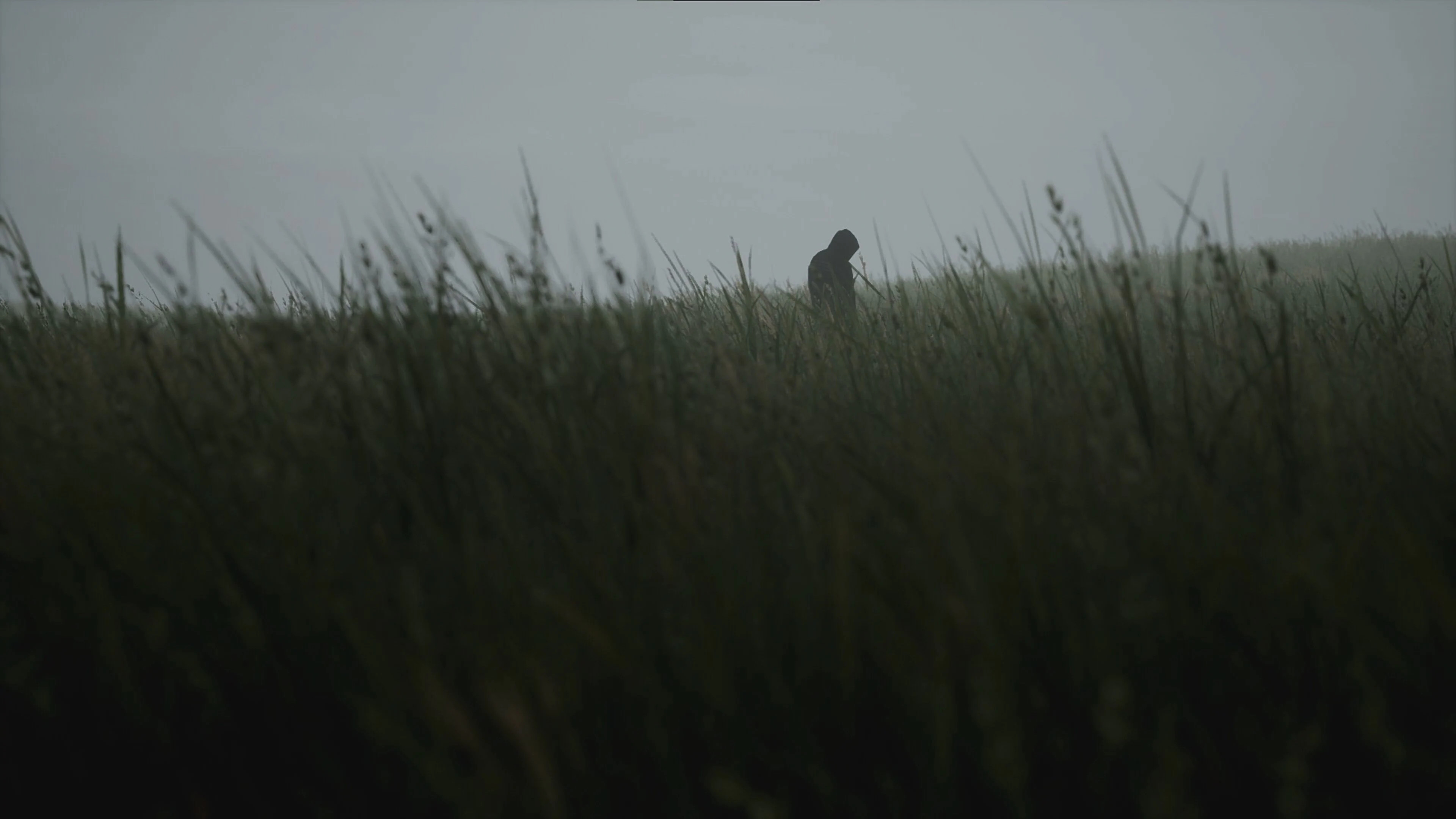 Lushfoil Photography Sim