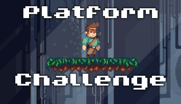 Platform Challenge