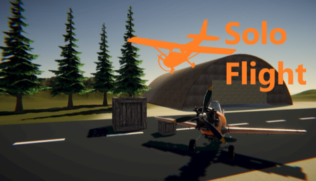 Solo Flight