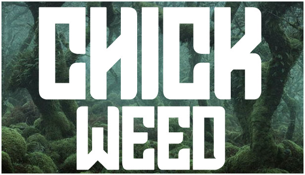 CHICKWEED