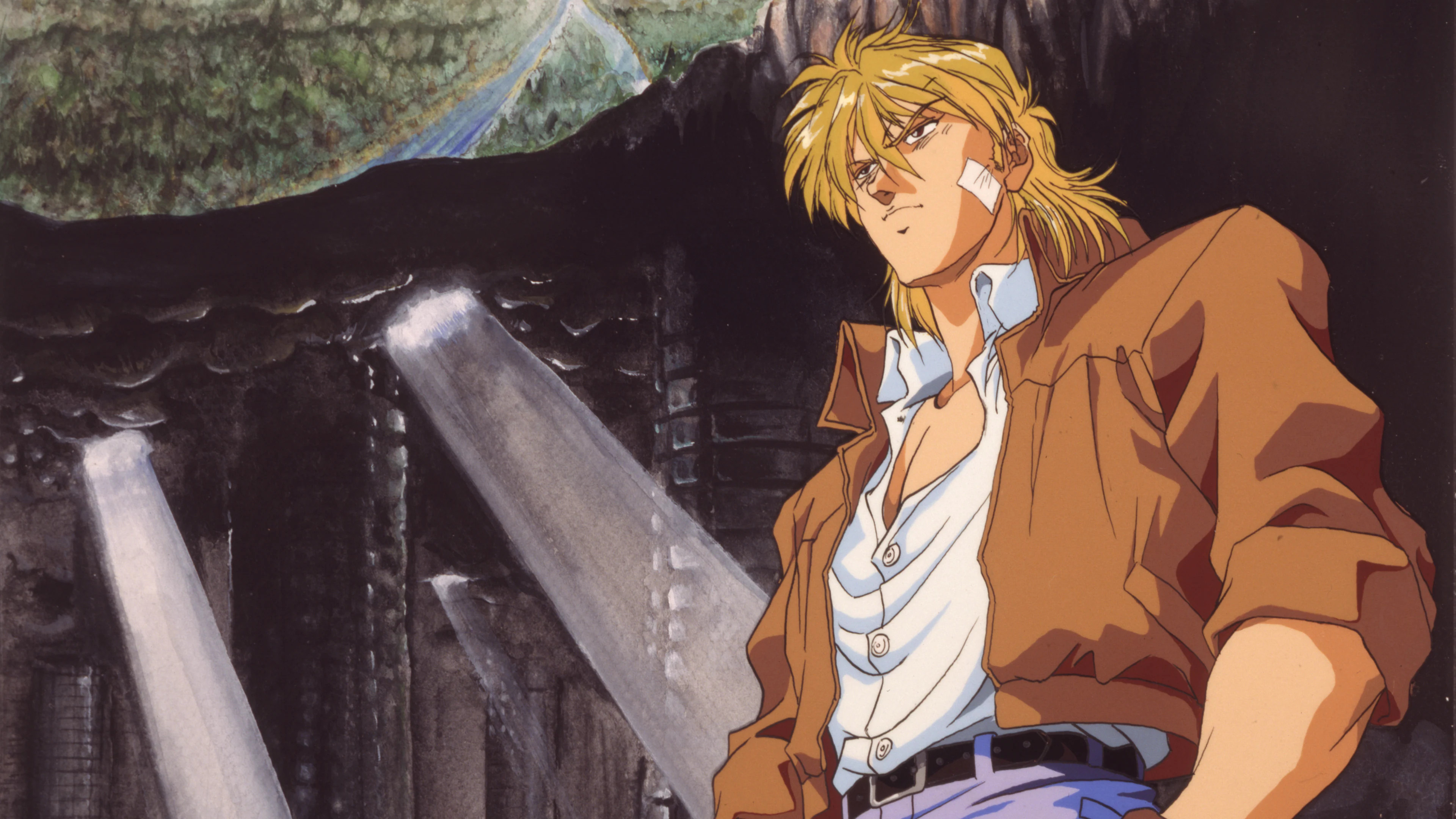 Earnest Evans Collection