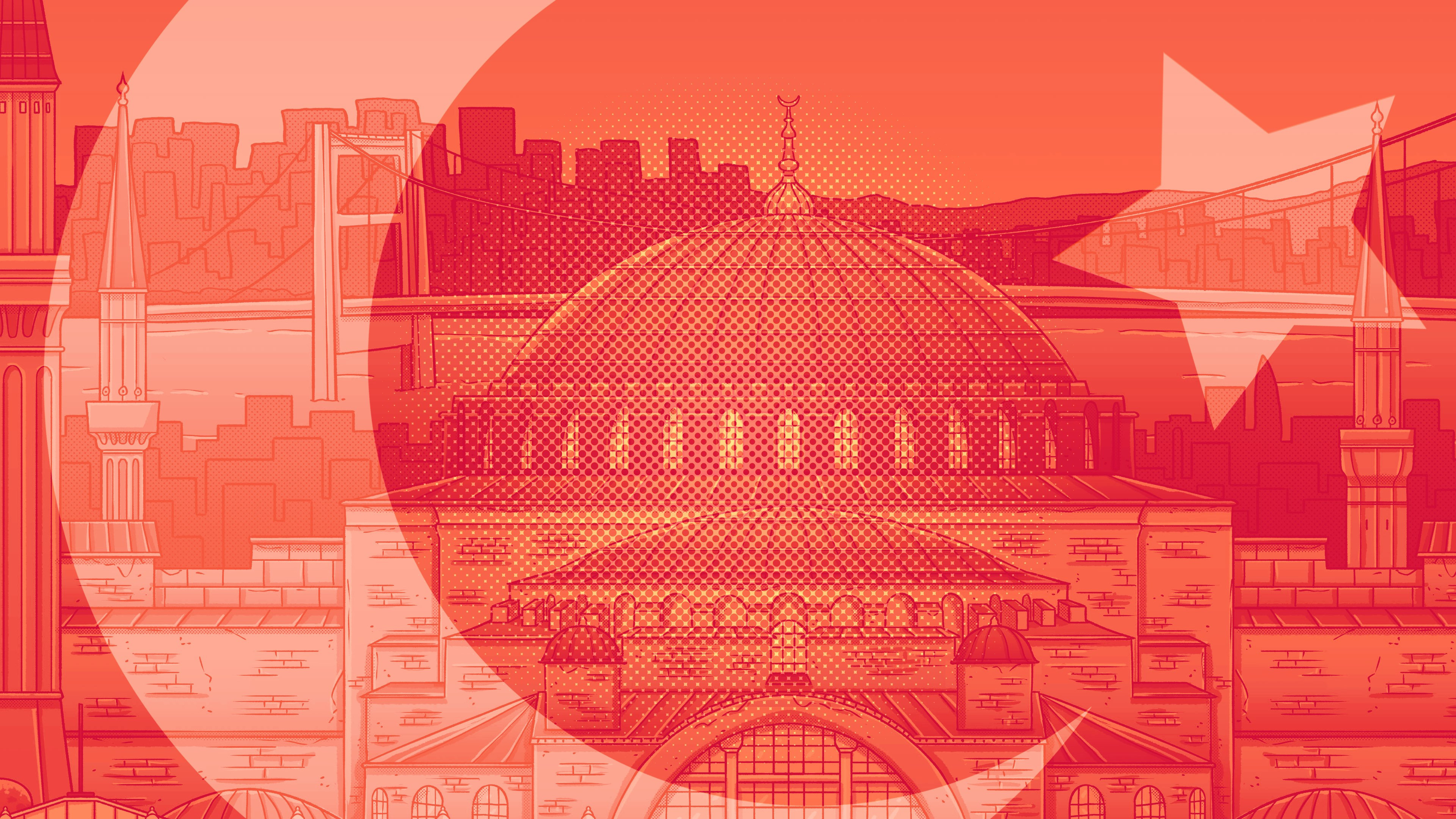 Hidden Cats in Istanbul