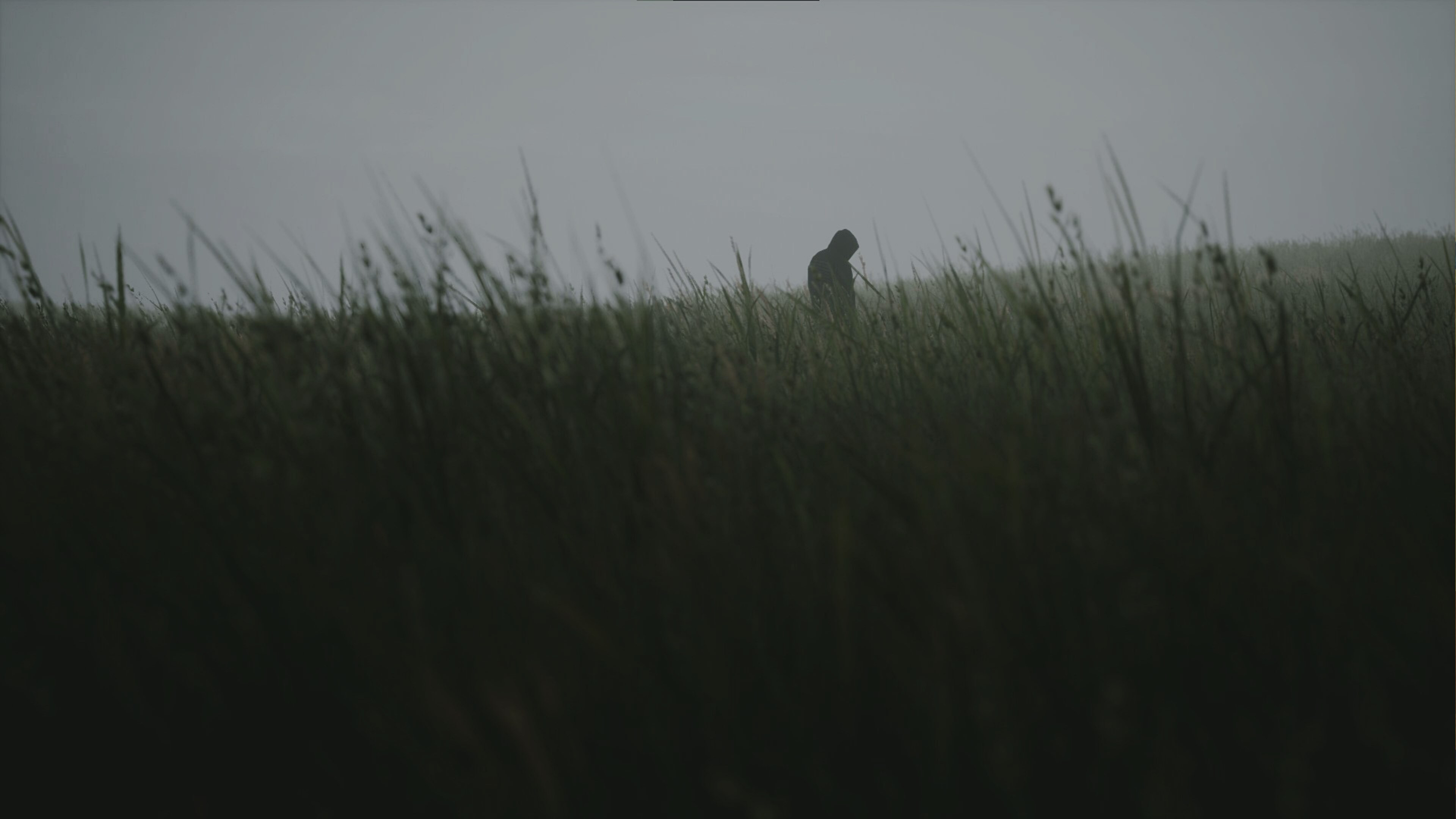 Lushfoil Photography Sim