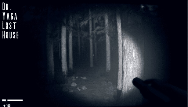 Dr. Yaga Lost House