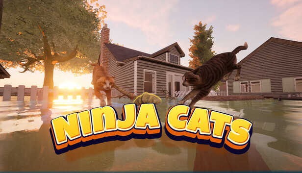 Ninja Cats