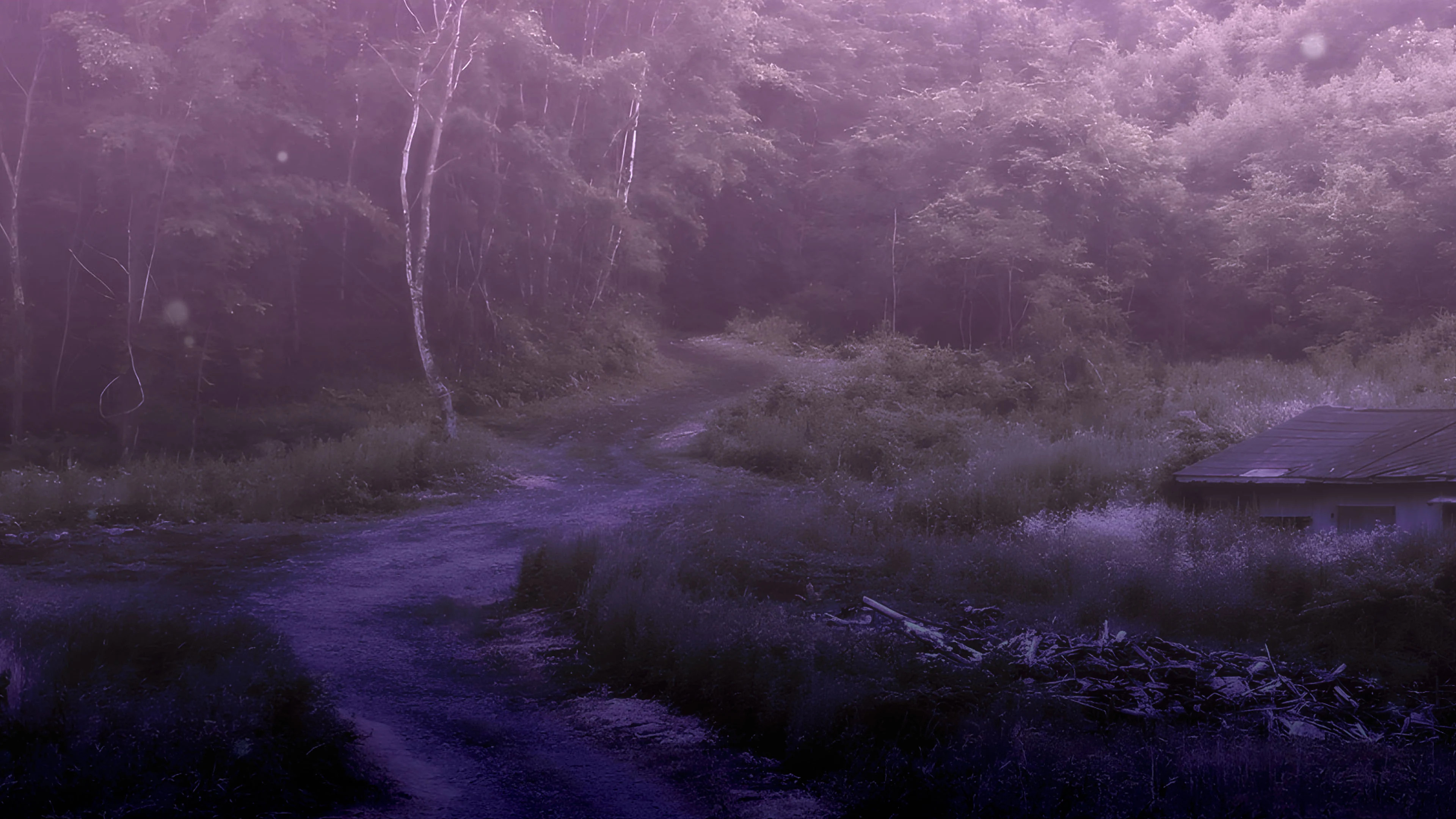 Our Burial Dolls Remastered PS4 & PS5