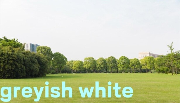 greyish white