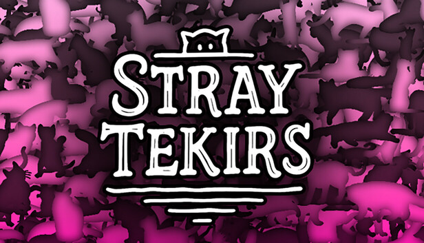 Stray Tekirs