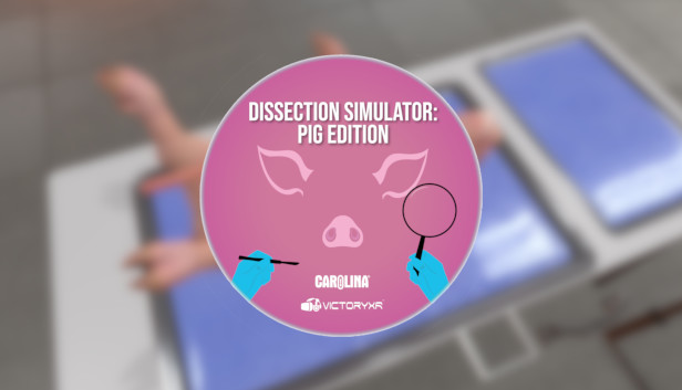 Dissection Simulator: Pig Edition