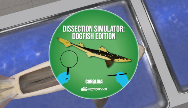 Dissection Simulator: Dogfish Edition
