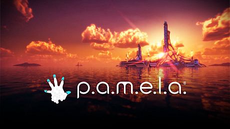 P.A.M.E.L.A. Game