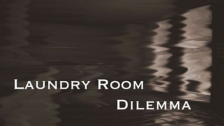 Laundry Room Dilemma Game