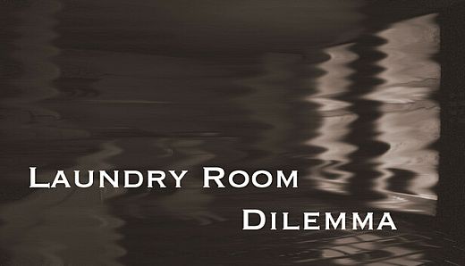 Laundry Room Dilemma